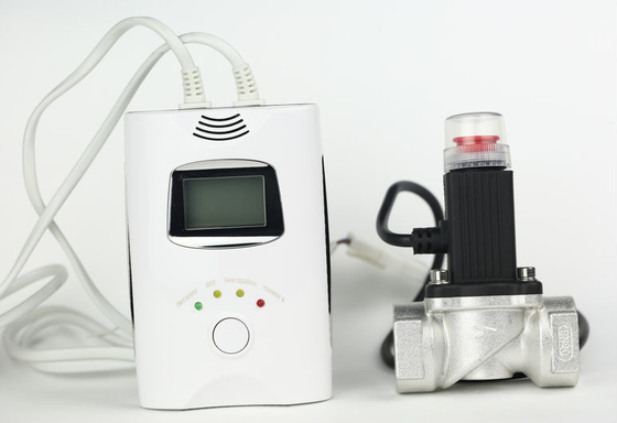 Factory Wholesale OEM Home Usage Carbon Monoxide Gas Leak Detector Co Sensor