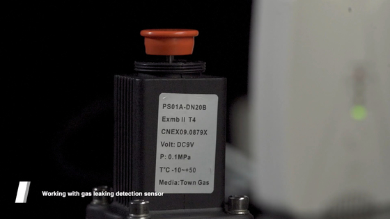 LPG gas solenoid valve to shut off the gas source supply matched with gas alarm