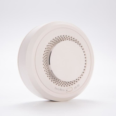 Stand alone OEM rental house apartment fire smoke sensor alarm with OEM and factory price