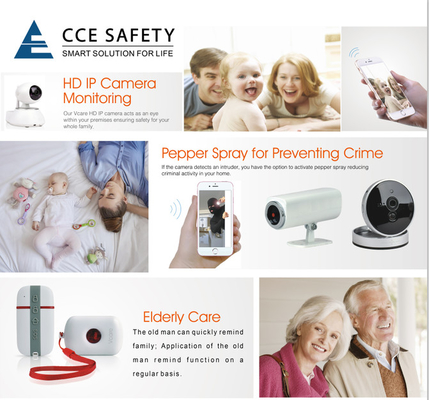 Smart Home Wi-Fi and GSM(3G) anti Intruder Alarm System