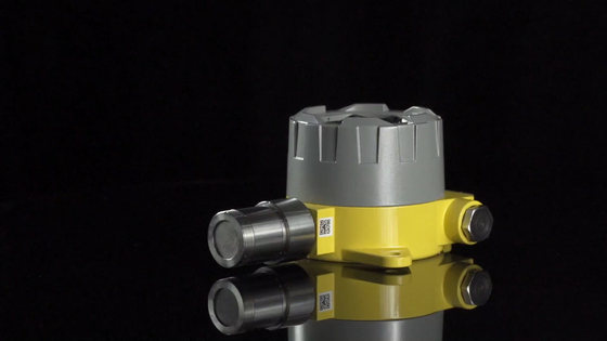 Factory 24V Explosion-Proof Gas Monitor For oxygen gas (O2)