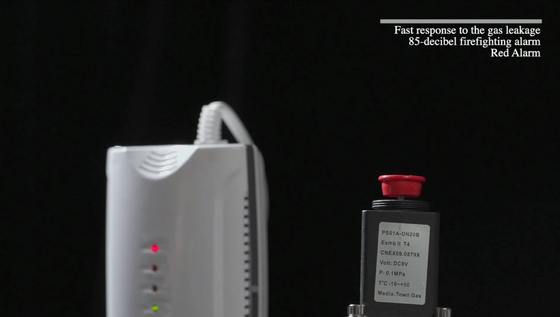 Standalone Carbon Monoxide Gas Detector CO Alarm With EN50291